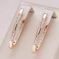Elegant Earrings in Gold Zirconia