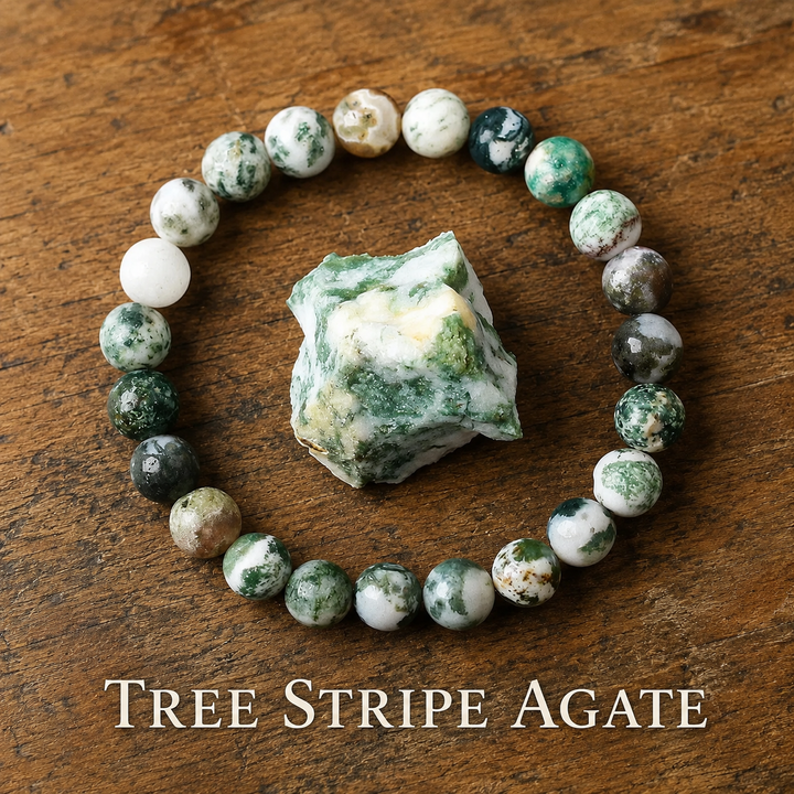 Genuine natural tree agate healing bracelet - green veined crystal beaded stretch bracelet